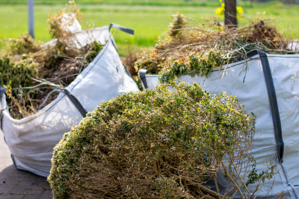Best Office Junk Removal  in Silver Lake, FL